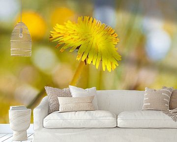 Bright spring with yellow dandelion by Denise Tiggelman