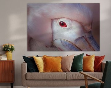 Closeup van de Roze pelikaan. van Patrick Löbler
