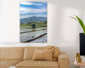 Cabin among the rice fields. by Floyd Angenent