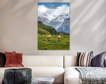 Grazend koeien in de Zwiterse Alpen. van Floyd Angenent