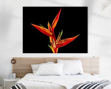 Paradiesvogel Blume in Low Poly Illustration Abstrakt von Yoga Art 15