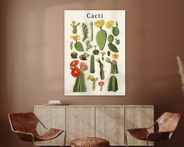 Cactussen collectie van Gal Design