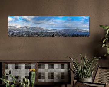 Winterlandschaft im Bayerischen Wald von Dirk Rüter