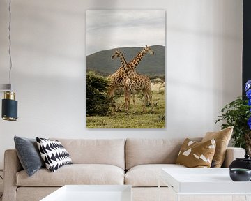 Crossing giraffes in Namibia by Leen Van de Sande