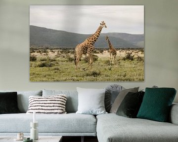 Giraffen kleuren The Habitas Namibia reserve van Leen Van de Sande