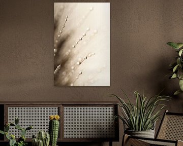 Abstract taupe - beige: Waterdruppels van Marjolijn van den Berg