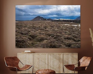 Paysage de lave dans le nord de l'Islande