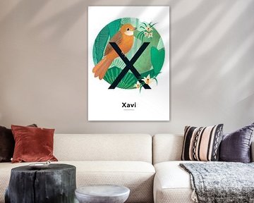 Naamposter Xavi