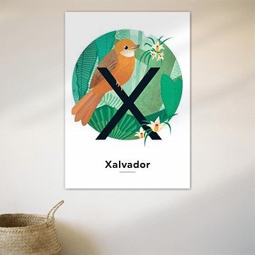 Namensschild Xalvador
