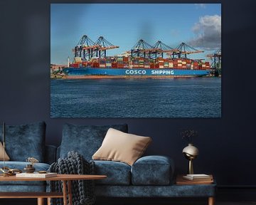 Cosco Shipping Sagittarius Containerschiff. von Jaap van den Berg