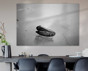 Schelp van een mossel op het strand in zwart wit van Kristof Leffelaer