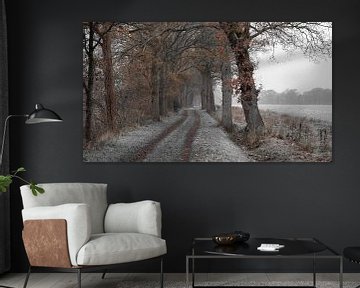 Winter sfeer in Hollands landschap van Lynxs Photography