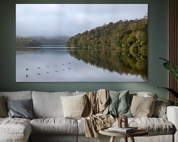 Birds fly over a lake. by Floyd Angenent