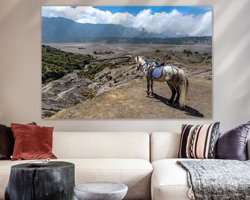 Un cheval au bord d'un volcan. sur Floyd Angenent