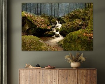 Stream in the Black Forest - Gertelbach-Wasserfälle near Bühlertal by André Post