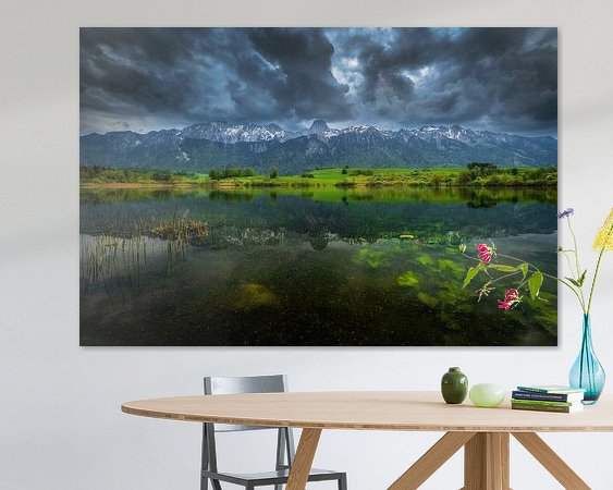 Aperçu de la chambre