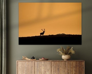 Red deer in last sunlight by Erwin Maassen van den Brink