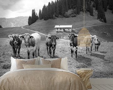 A Colourful Mixture of Alpine Cattle in Black and White by LieblingsKuhbilder.de