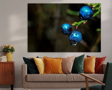 Blue Berries by Marcel Pietersen
