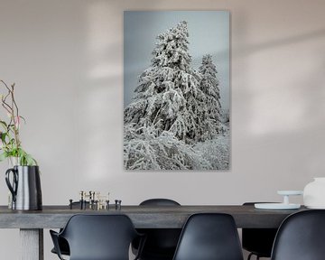 Winterlandschap met besneeuwde sparren 2 van Holger Spieker