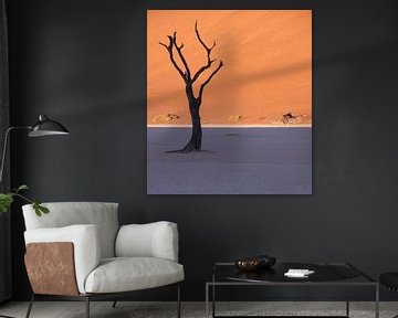 Dead tree in Dead Vlei, Namibia by Christel Nouwens- Lambers