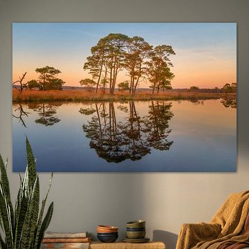 A beautiful sunset in Dwingelderveld