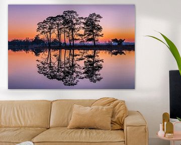 A beautiful sunset in Dwingelderveld by Bea Budai
