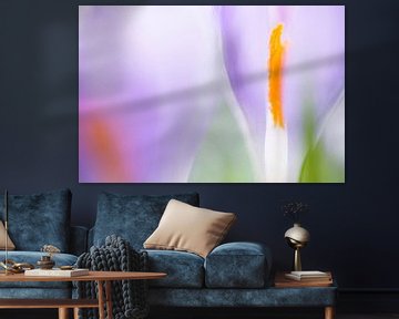 Purple with a touch of orange (Stylised and cheerfully coloured Crocuses in close-up) by Birgitte Bergman