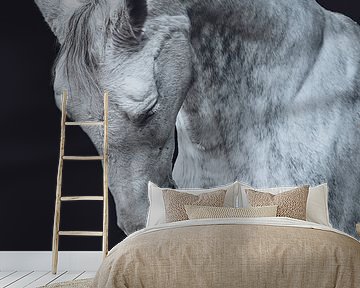 Fine art portrait white horse by Shirley van Lieshout