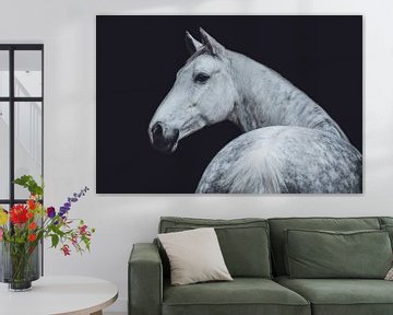 Fine art portrait white horse looking over shoulder by Shirley van Lieshout