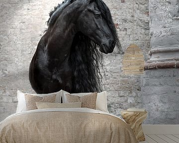 Portrait Friesian horse in church by Shirley van Lieshout