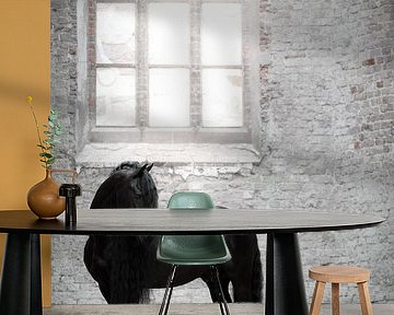 Friesian horse in window light church by Shirley van Lieshout