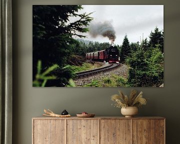 Railway with wagons in the Harz Mountains by Olli Lehne