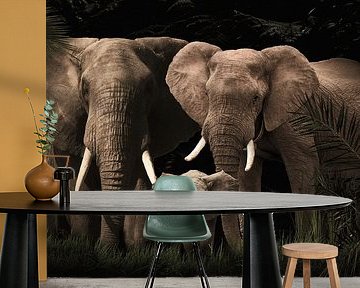Elephant family with one calf ( also with several calves )
