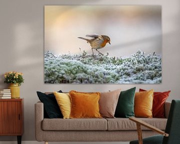 Robin in winter by Gonnie van de Schans