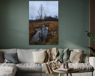 Winterlandschap in natuurgebied De Teut in Zonhoven van Retrotimes