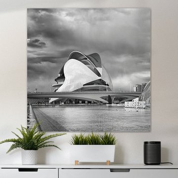 Palau de les Arts - Valencia