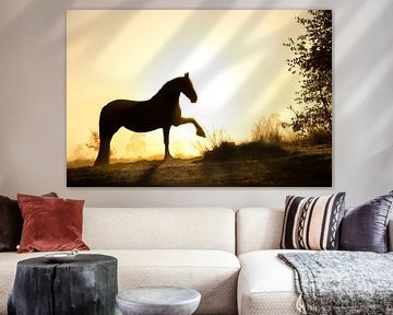 Silhouet paard in vroege ochtendlicht van Shirley van Lieshout