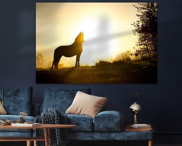 Paard silhouet in vroege ochtendlicht van Shirley van Lieshout