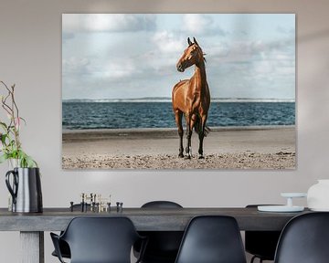 Bruin paard portret op strand van Shirley van Lieshout