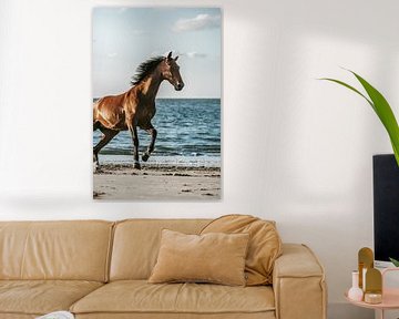 Brown horse galloping on beach close-up by Shirley van Lieshout