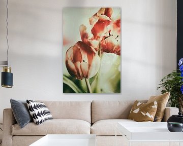 Tulpen als geschilderd van Petra Dreiling-Schewe