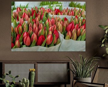 Tulpen von Blond Beeld