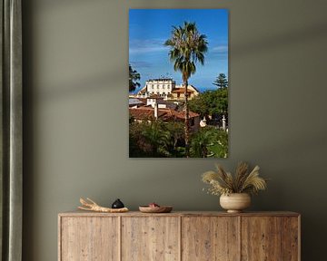 Palm tree and old town of La Orotava on Tenerife by Anja B. Schäfer