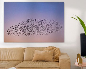 Murmure d'étourneaux avec des oiseaux volants dans le ciel pendant le coucher du soleil sur Sjoerd van der Wal Photographie