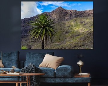 PALME