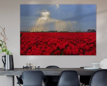 Rode tulpen  van Michel van Kooten