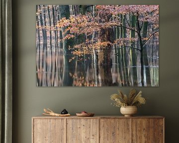 Forêt d'automne inondée sur la Veluwe ! sur Peter Haastrecht, van