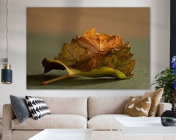 Trockenes Blatt von Irene Ruysch