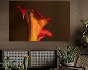 Calla's in rood en geel van Irene Ruysch